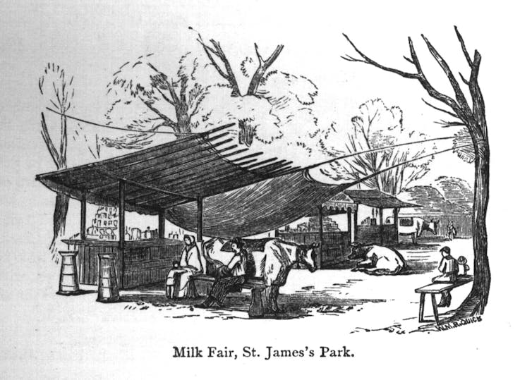 Illustration représentant la foire du lait à St James’s Park, à Londres