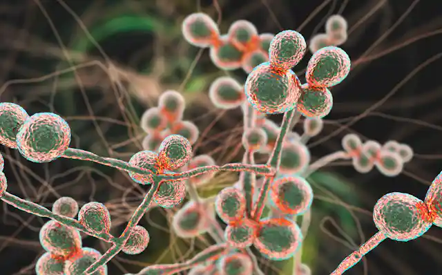 Computer image showing small spheres with tails coming off of them.