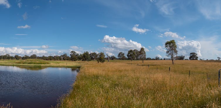 western victoria farm