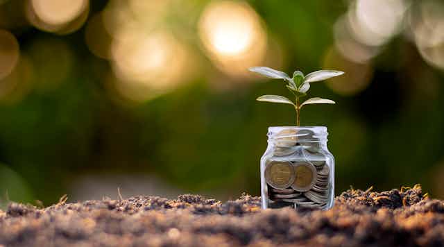 A small leafy seedling grows in a jar filled with coins, resting on a bed of soil.