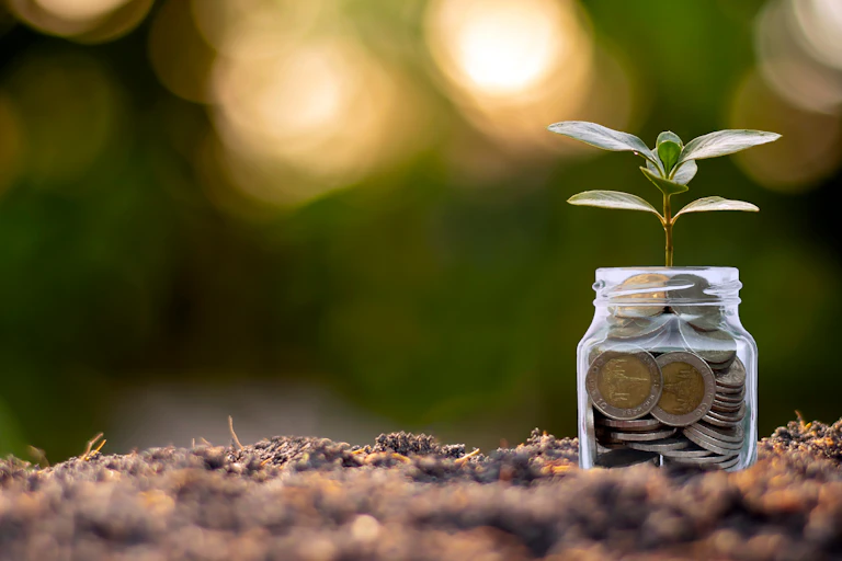 A small leafy seedling grows in a jar filled with coins, resting on a bed of soil.