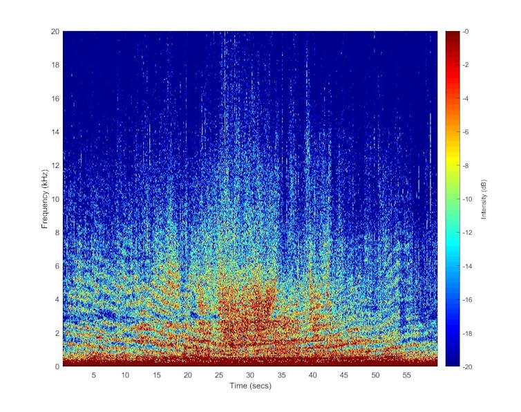 A spectrogram of a motorised whale-watch vessel passing at slow speed