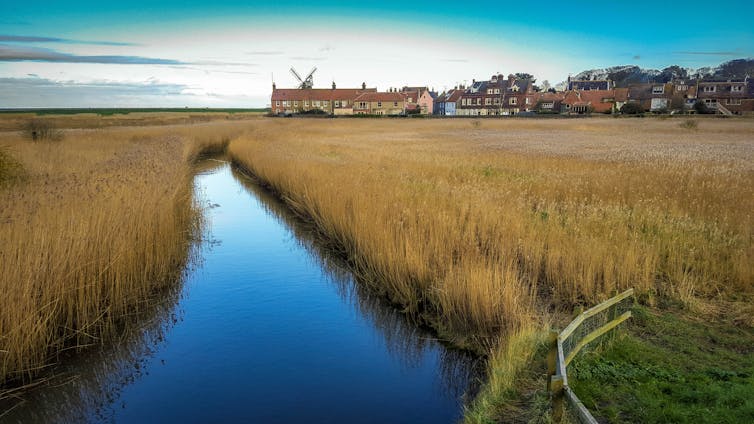A vast expanse of reeds with a channel of water running through the middle and a village in the distance.