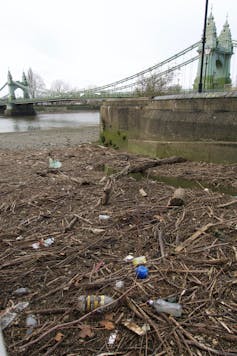 Twigs and litter, bridge in background