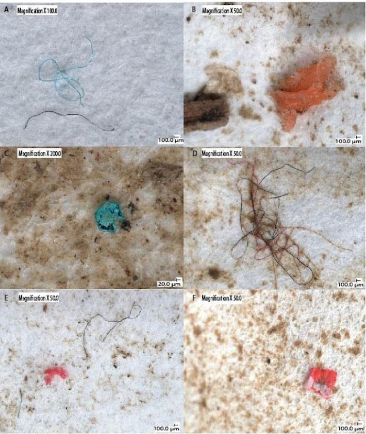 Microscopic images of plastic
