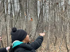 Image of a child holding out seed for a chickadee.