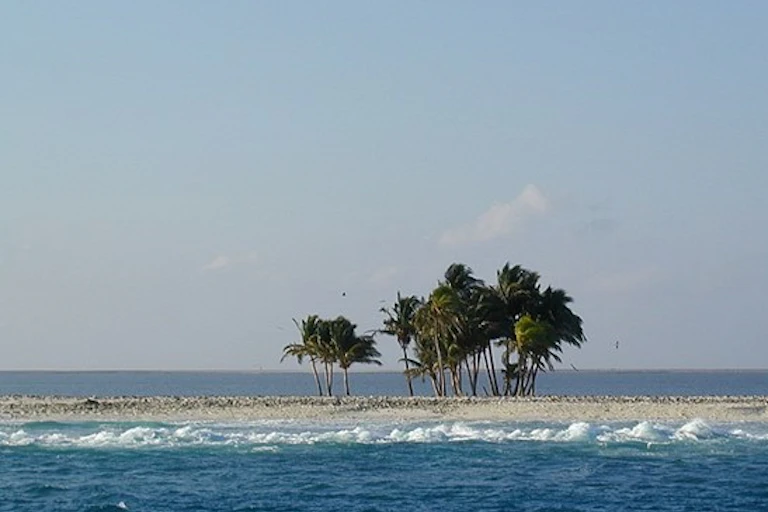 L'île de la Passion Clipperton, un banc de sable peuplé de quelques arbres.