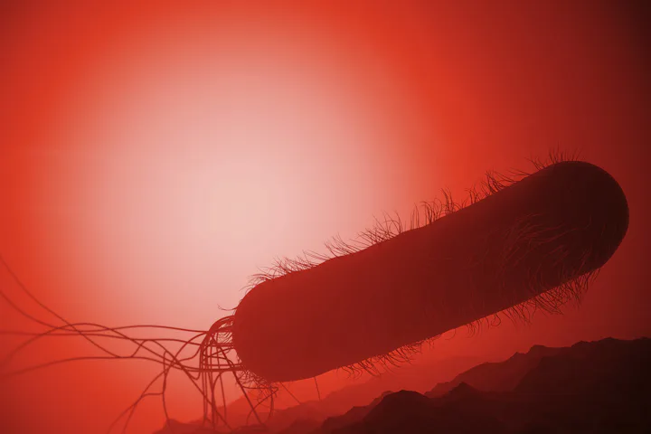 https://images.theconversation.com/files/519955/original/file-20230407-28-ddggzn.jpg?ixlib=rb-4.1.1&rect=245%2C0%2C1949%2C1299&q=50&auto=format&w=360&h=240&fit=crop&dpr=2