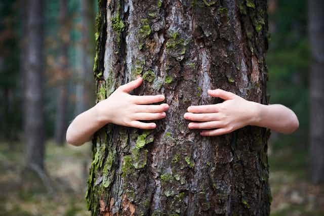 A little girl stands and hugs a tree in the forest