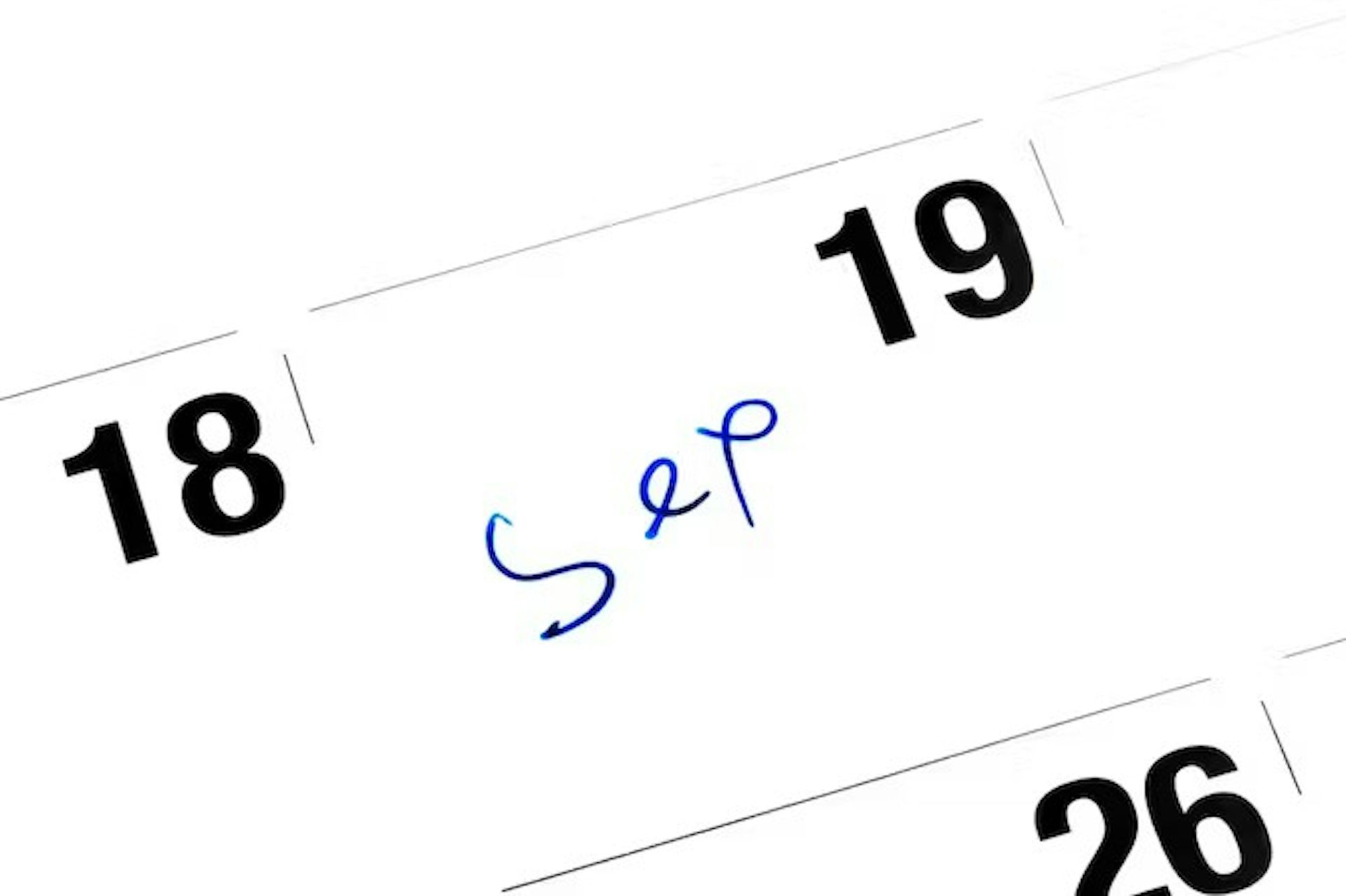 Haruskah kita membuat jadwal seks? Kami meneliti apakah seks yang spontan lebih memuaskan