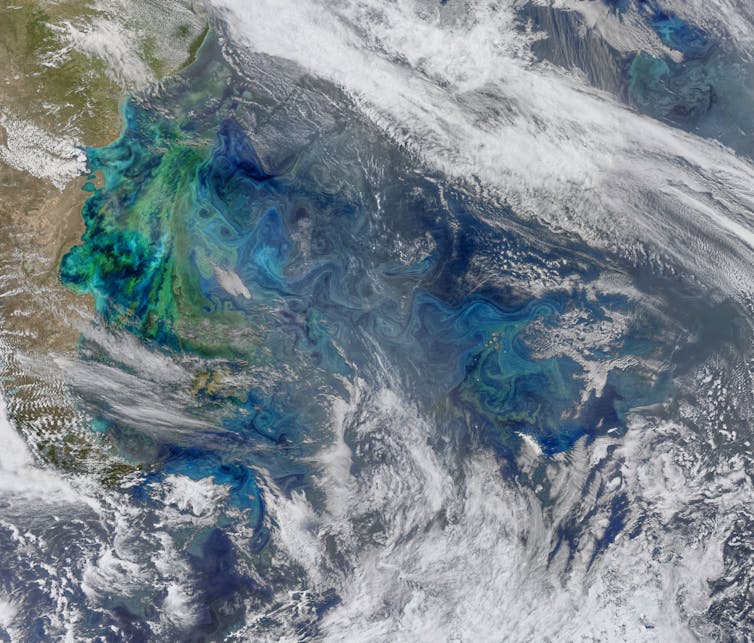 A satellite image shows green swirls off the South American coast.