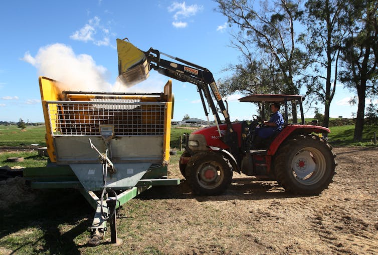 A farmer mixes dry feed for the cows at a dairy farm