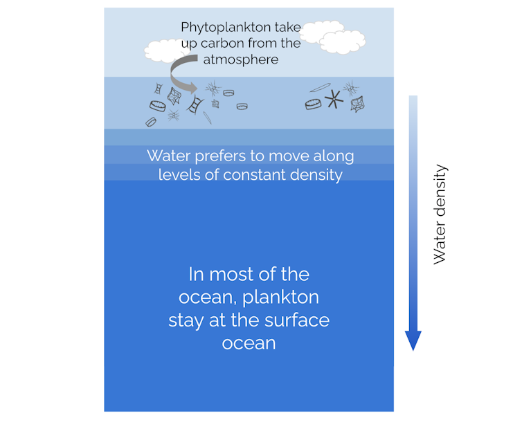 A graphic shows the typical ocean density layers, with phytoplankton in the upper layers.