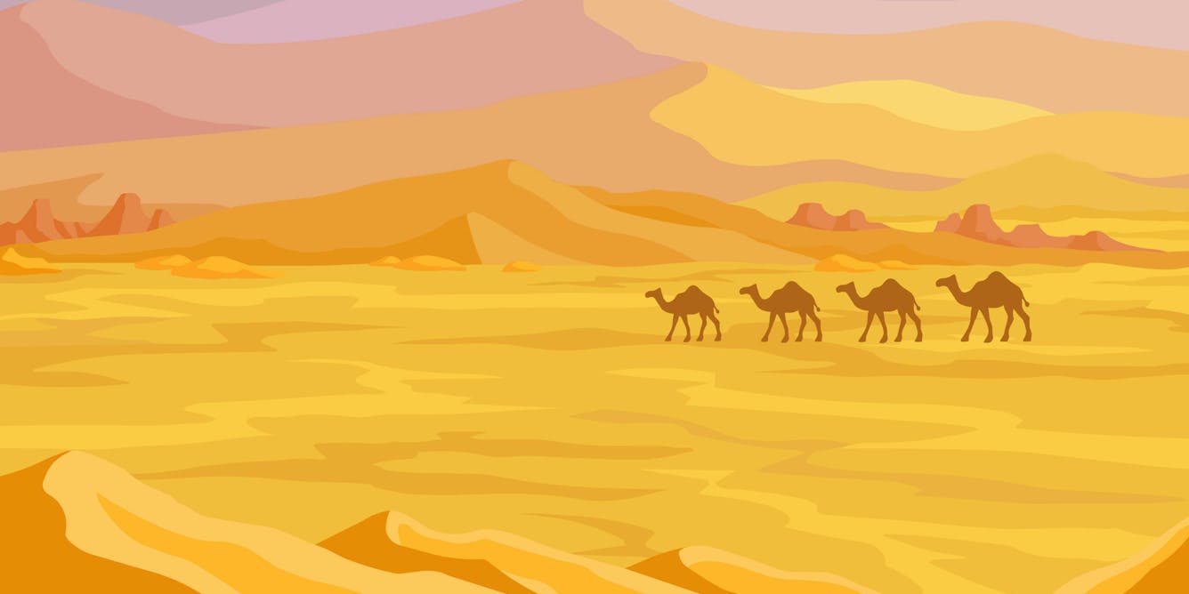 Пустыня Верблюды Барханы вектор
