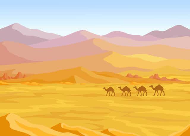 Illustration de quatre dromadaires dans le désert.