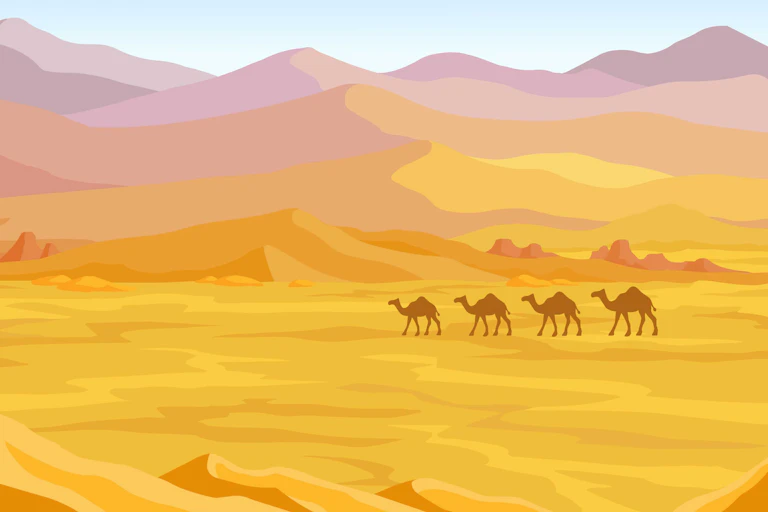 Illustration de quatre dromadaires dans le désert.