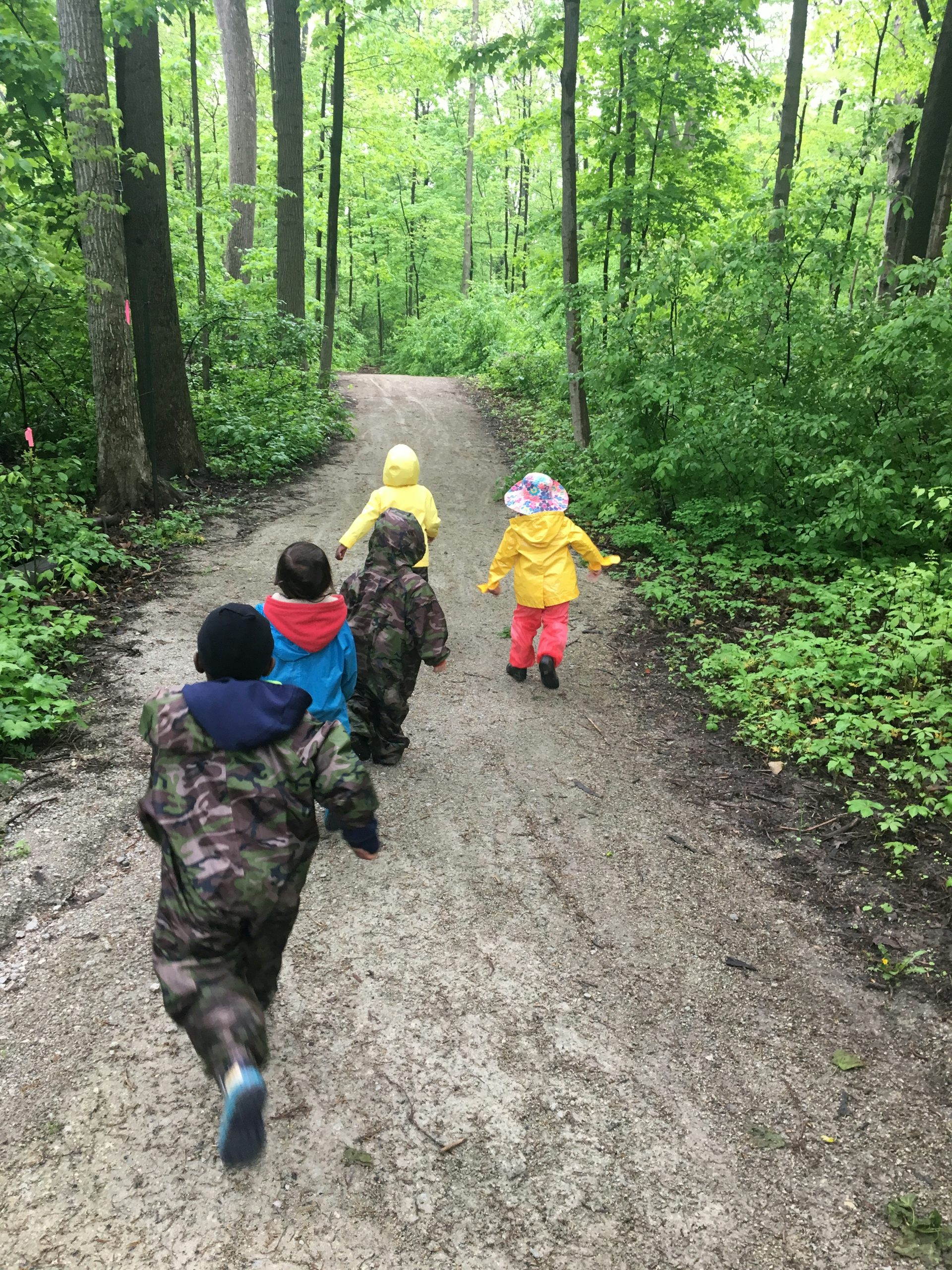 The backs of children seen walking through the woods.