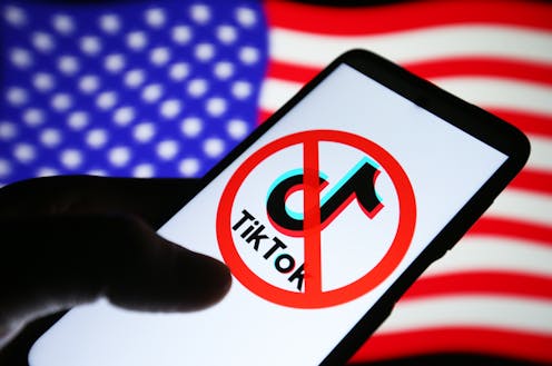 Banning TikTok could weaken personal cybersecurity