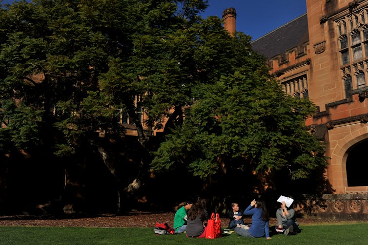 Students sit on the lawn at Sydney University.