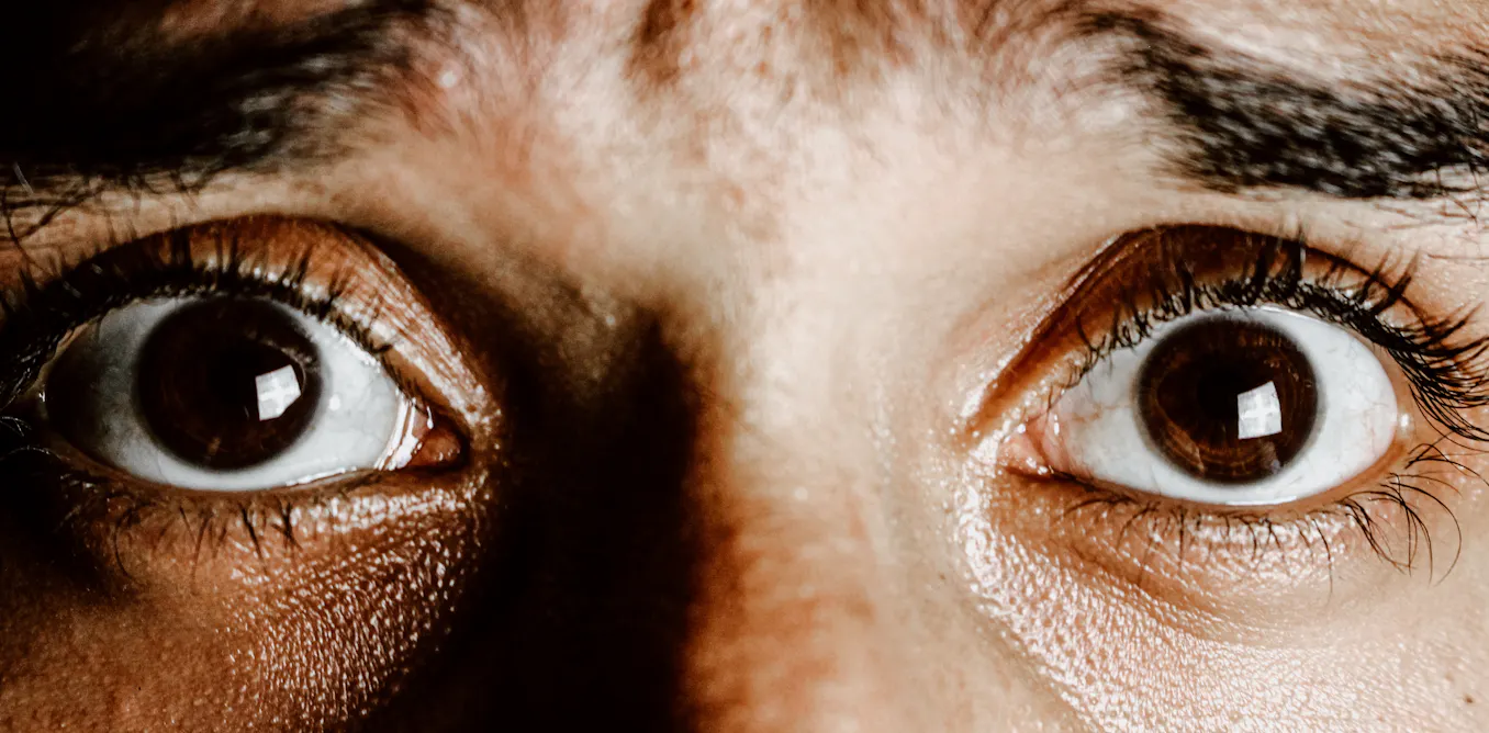 Ce qui se passe dans notre cerveau quand on a peur Ce qui se passe dans notre cerveau quand on a peur