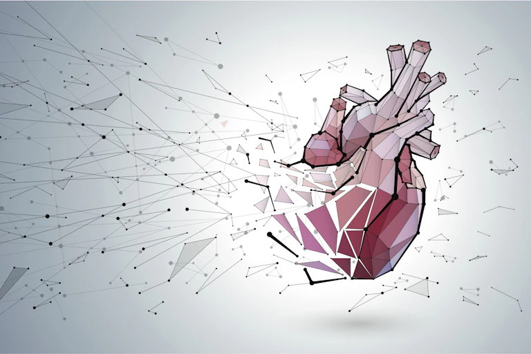 An illustration of the heart.