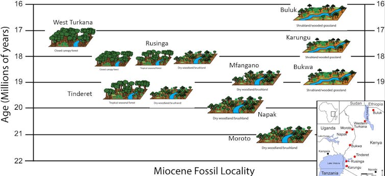 cartoon depictions of nine paleoenvironments placed on timeline