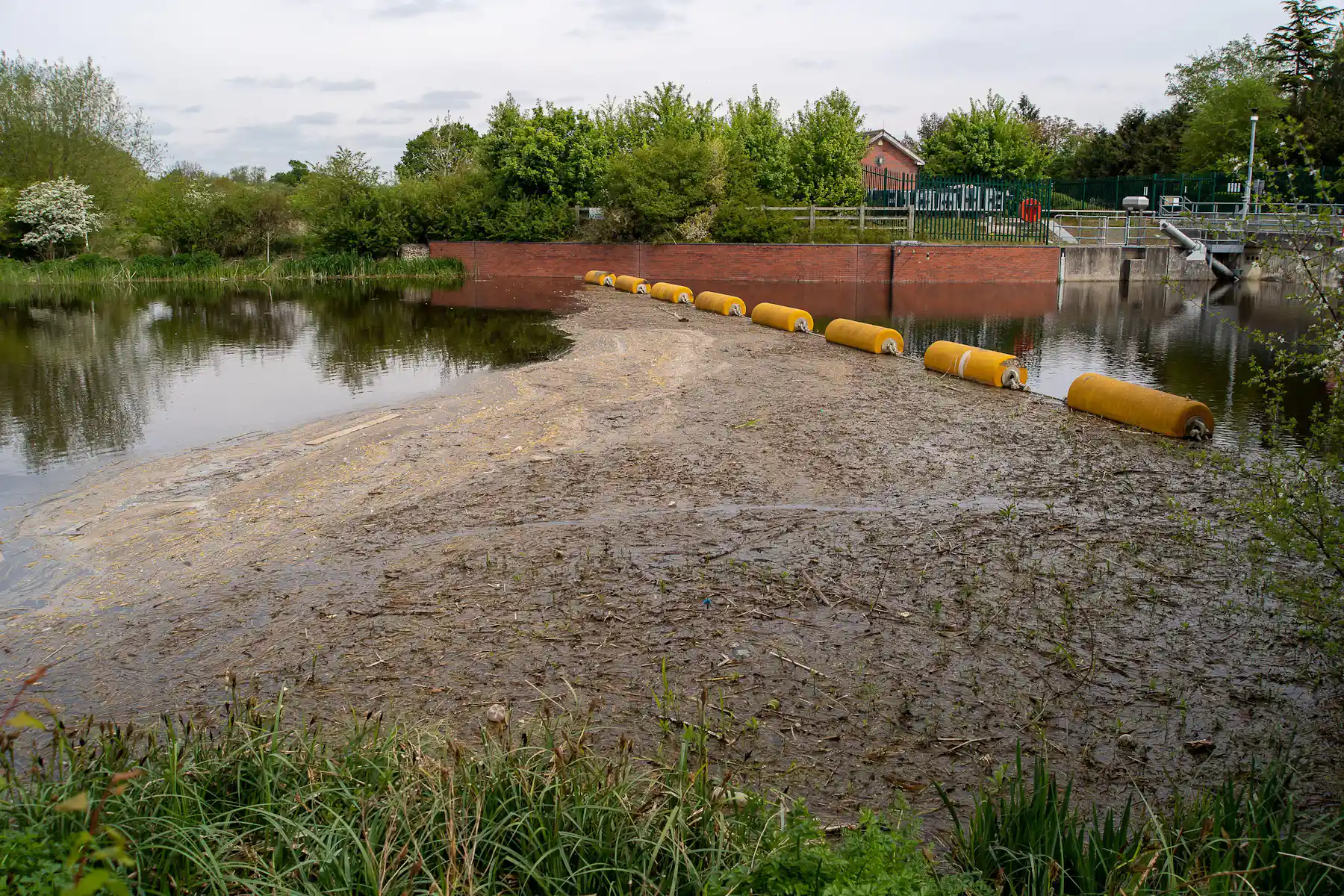 UK Waters Are Too Polluted To Swim In But European Countries Offer uk-waters-are-too-polluted-to-swim-in-but-european-countries-offer