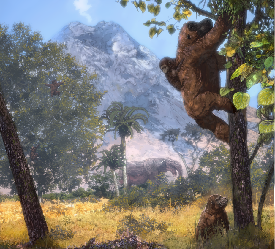 Artistic rendering of *Morotopithecus* in its habitat