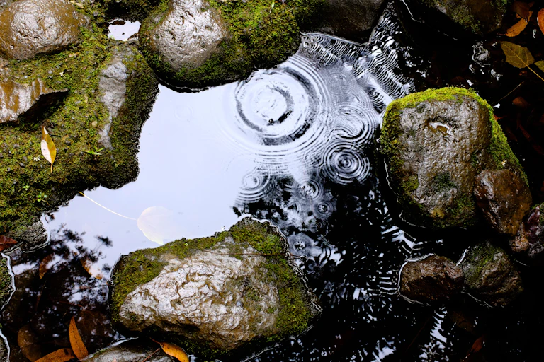 Des gouttes de pluie tombant sur des pierres et un trou d'eau
