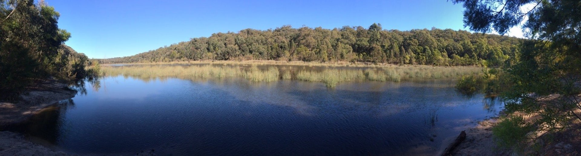 A Dive Into The Deep Past Reveals Indigenous Burning Helped Suppress ...