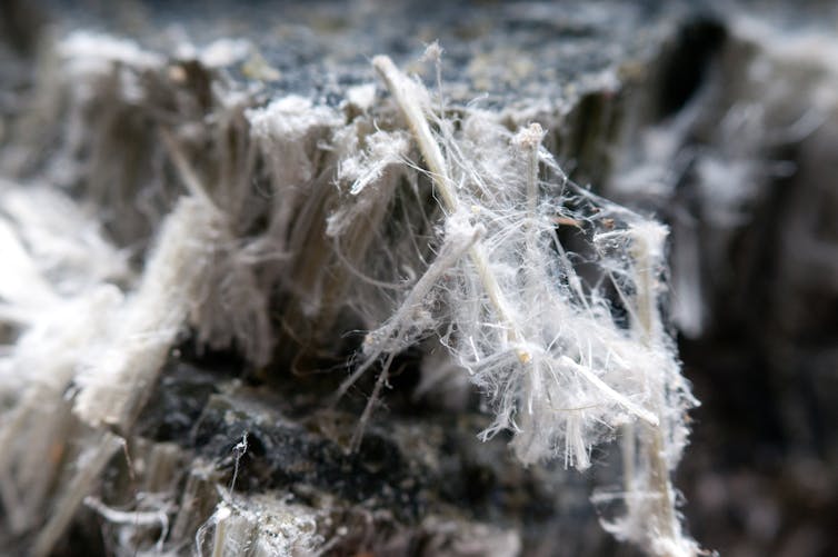 Asbestos chrysotile fibres.