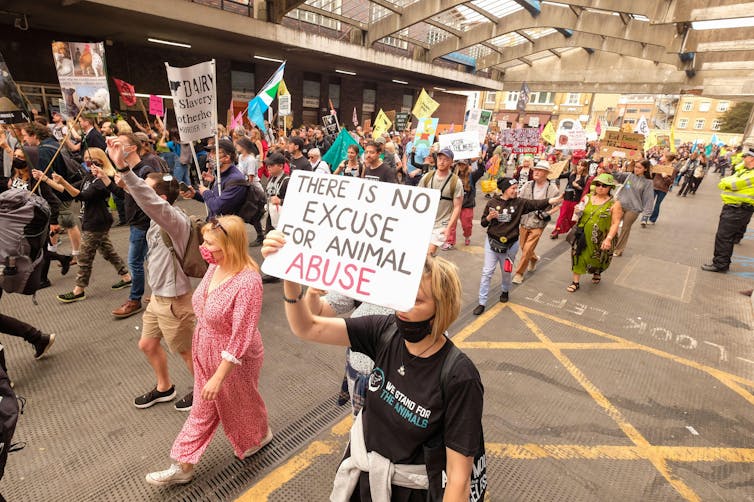 Uma marcha de protesto em um mercado ao ar livre com uma placa dizendo 'não há desculpa para abuso de animais'.