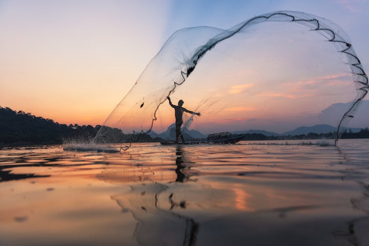 A lone fisher casts a wide net over shallow water at sunset.