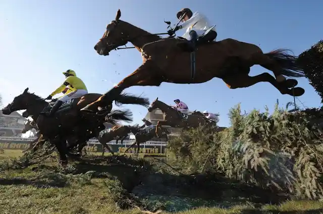 Grand National protests: Animal Rising campaigners reveal how ...