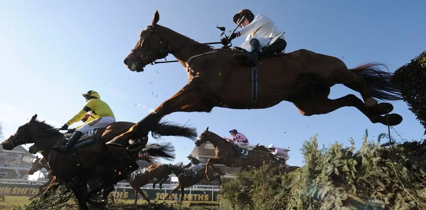 Grand National protests: Animal Rising campaigners reveal how ...