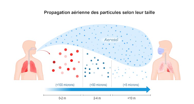 Schéma montrant la distance de propagation des particules virales selon leur taille