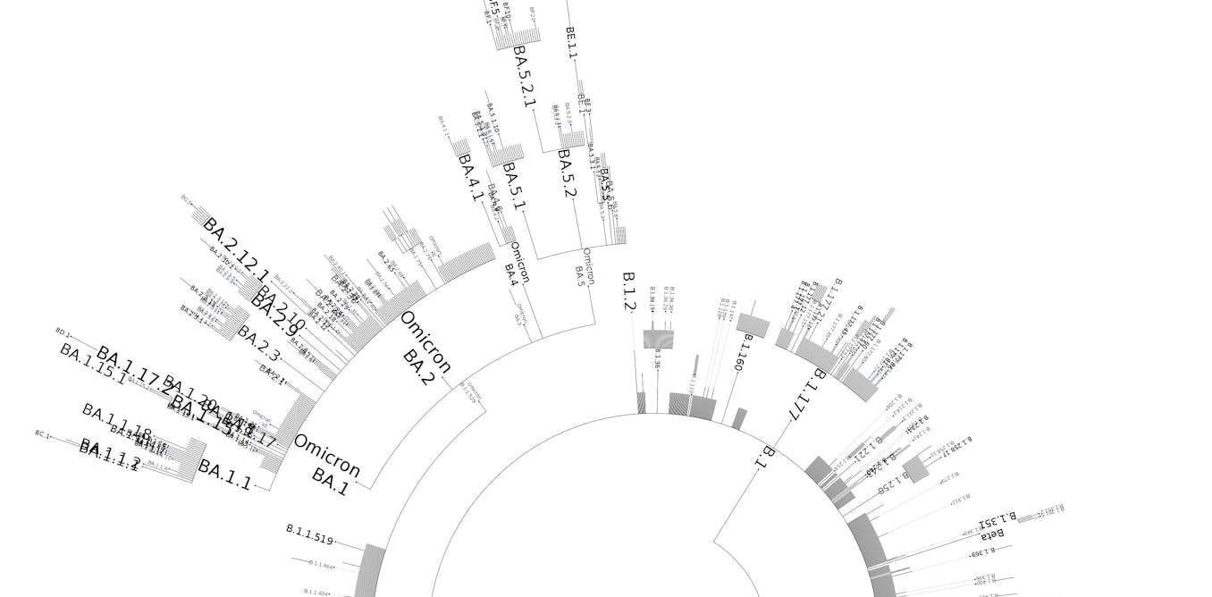 file-20230413-28-ejb219.jpg?ixlib=rb-1.1.0&rect=0%2C114%2C3436%2C1718&q=45&auto=format&w=1356&h=668&fit=crop