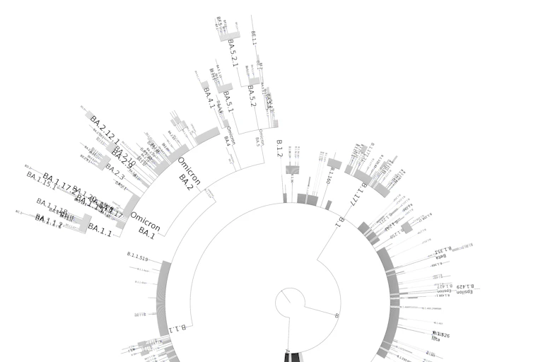 Arbre généalogique des variants du SARS-CoV-2