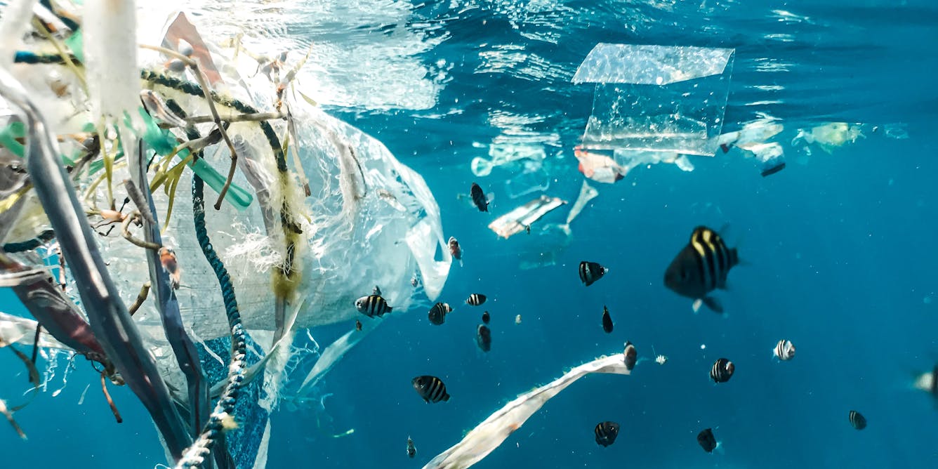 A Guide to Plastic in the Ocean