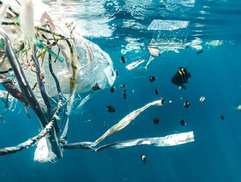 Plastic action or distraction? As climate change bears down, calls to reduce plastic pollution are not wasted