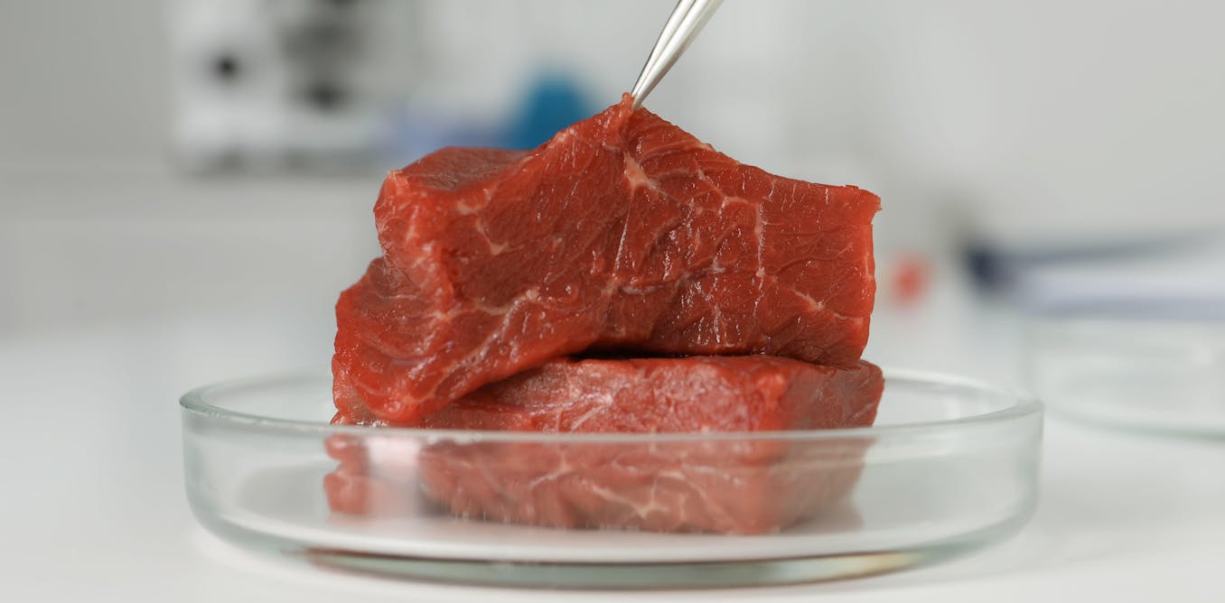 Fact Check-No evidence lab-grown meat authorized in the US contains human cells lab