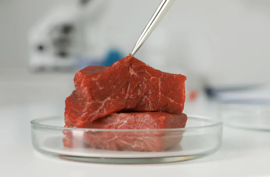 Italy is set to ban lab-grown meat – here’s why it should think again