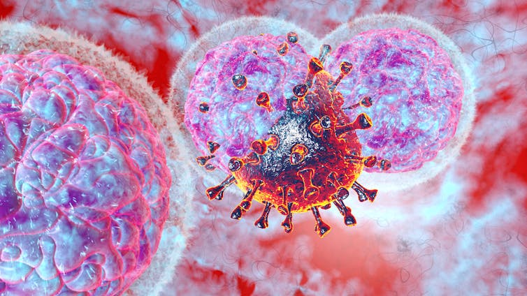Un'immagine digitale di un gruppo di cellule natural killer che attaccano una cellula COVID.