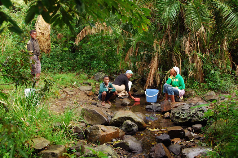 Women seated on rocks fetching water from a small stream in a wooded area.