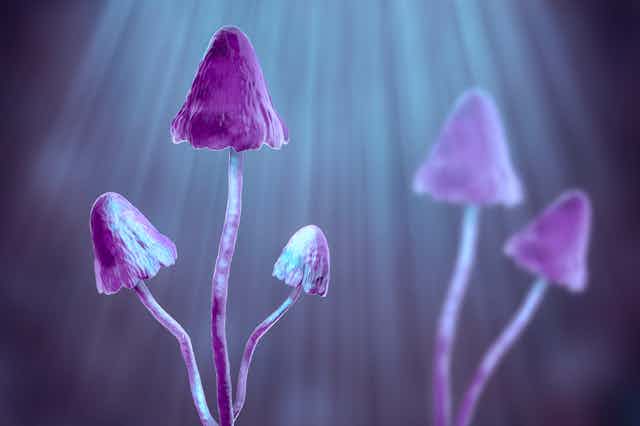 Illustration of psilocybin mushrooms