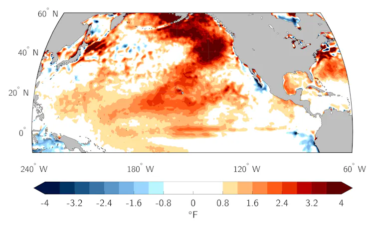 El Niño ha vuelto y las temperaturas del océano ya están cerca de niveles récord: esto podría significar un desastre para los peces y los corales. 1 Un ejemplo de ola de calor marina que muestra un calor intenso.