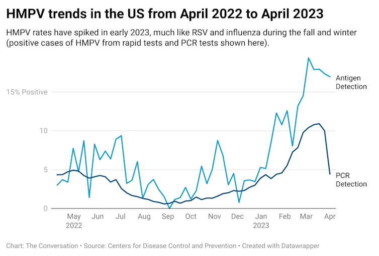 A chart showing the antigen detection and PCR detection of human metapneumovirus (HMPV) from April 2022 to April 2023.