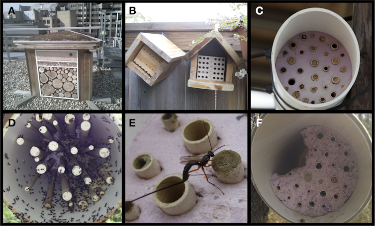 A collection of different bee hotels showing the variability in design, and negative interactions between