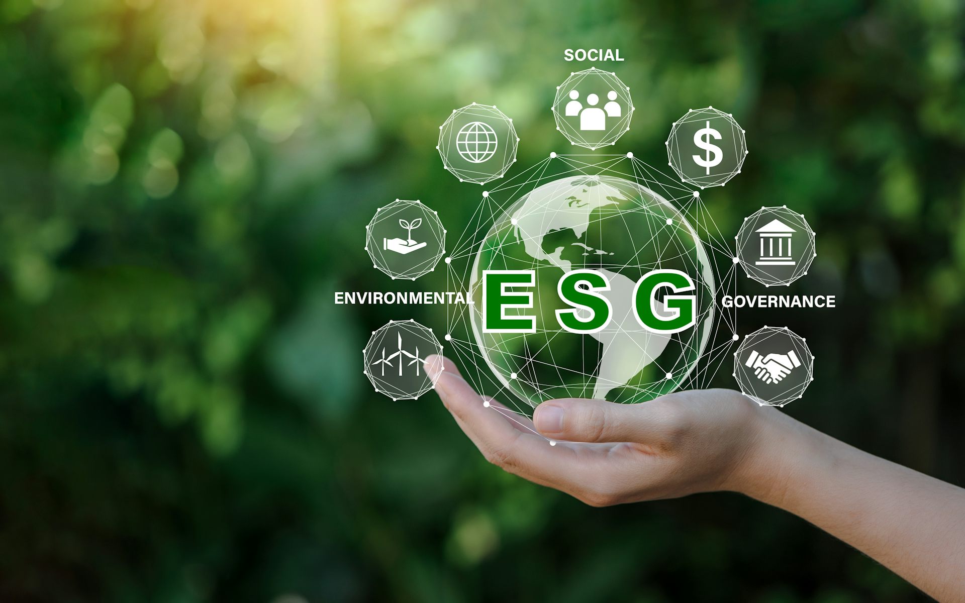How environmental, social and governance (ESG) investing
