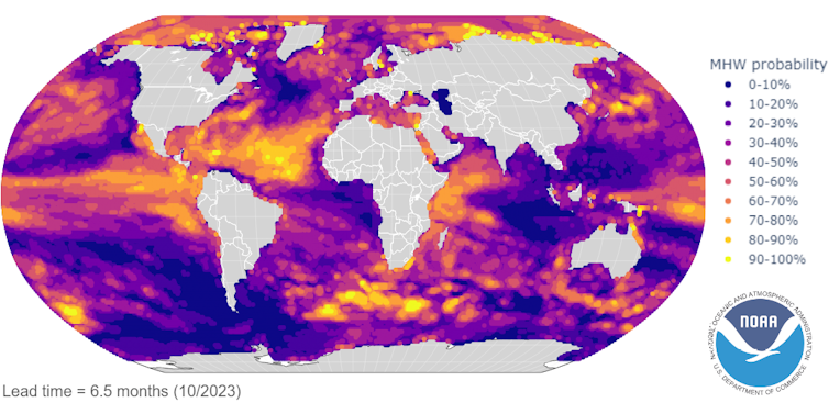 Map showing where marine heat waves are forecast in October 2023.
